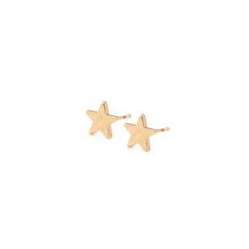kleine Ohrstecker Gold Stern Madeleine Issing